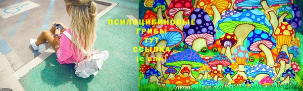 первитин Бородино