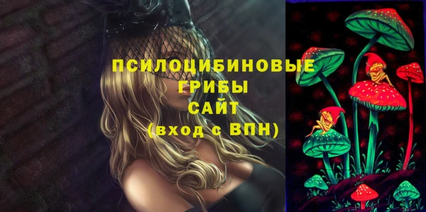 ALPHA PVP Белокуриха
