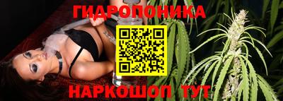 марихуана Сланцы