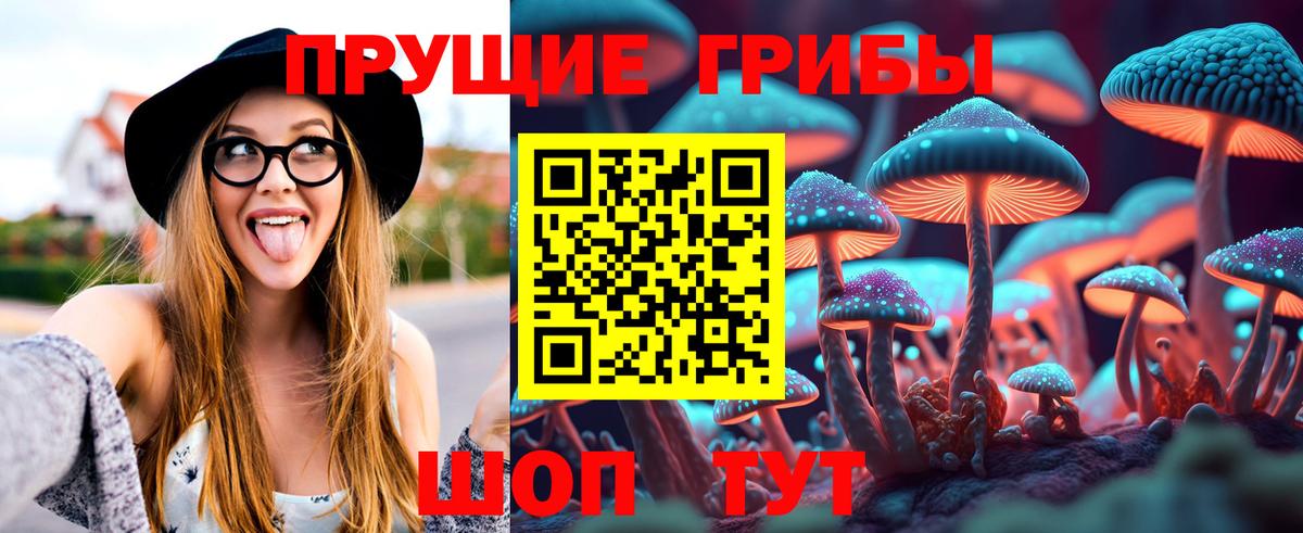 Северск  Псилоцибиновые грибы Psilocybe  Галлюциногенные грибы прущие грибы  Вход с VPN 