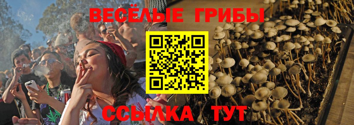 Галлюциногенные грибы GOLDEN TEACHER Северск