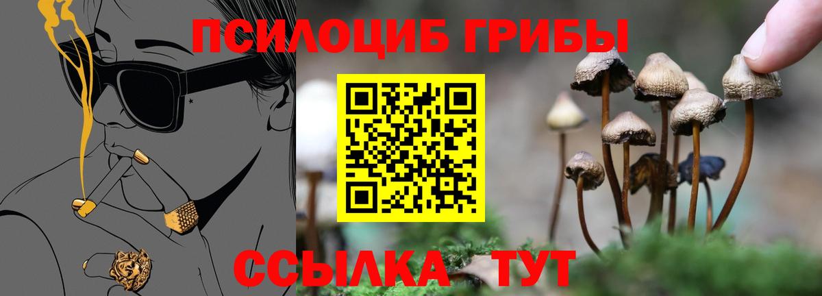 Мефедрон Северск
