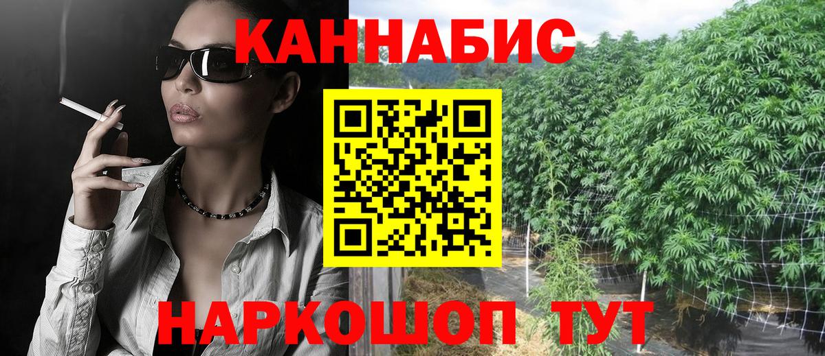 Шишки марихуана конопля  Вход с VPN  Марихуана планчик  Северск 